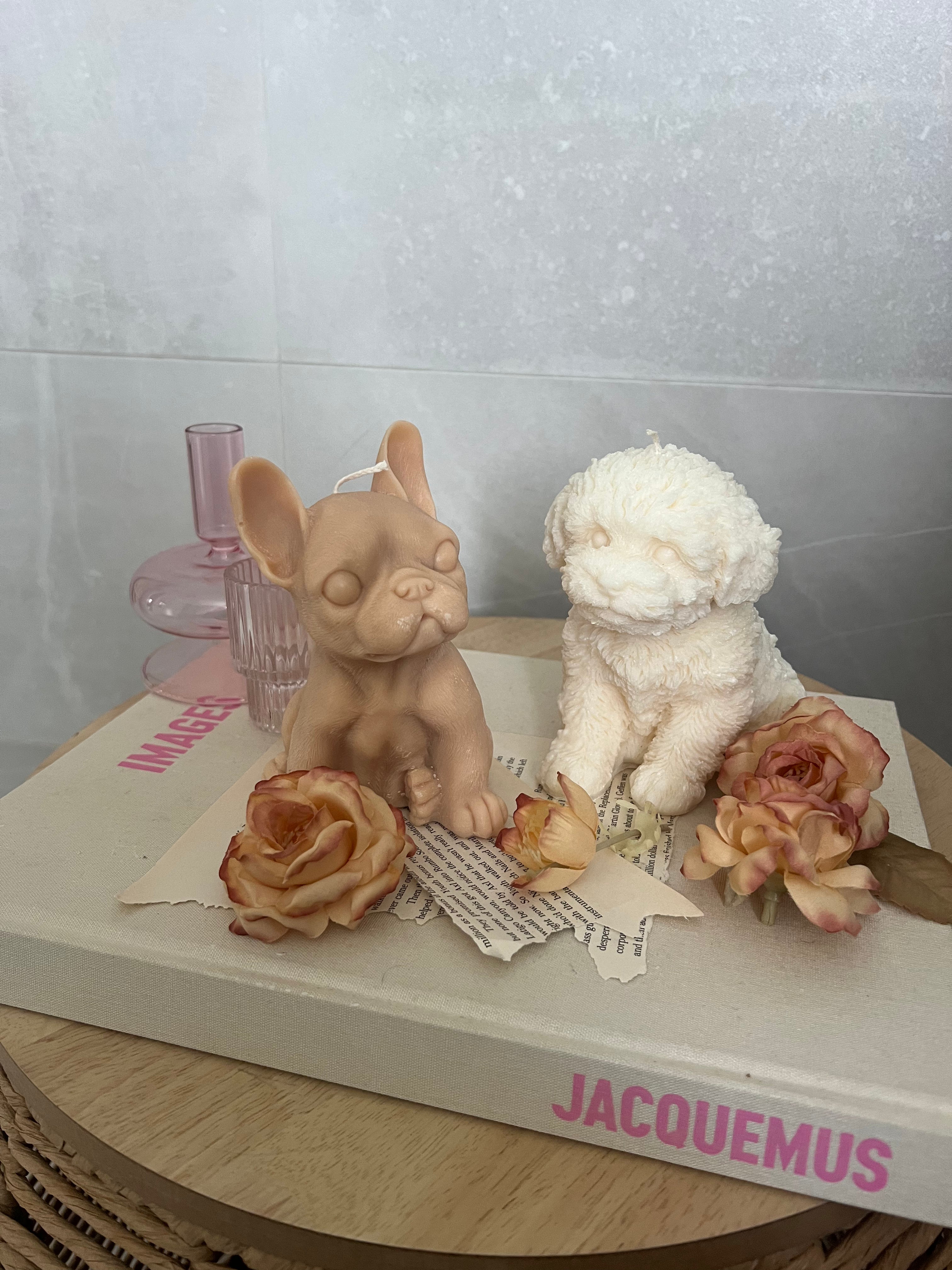 Buster the French Bulldog