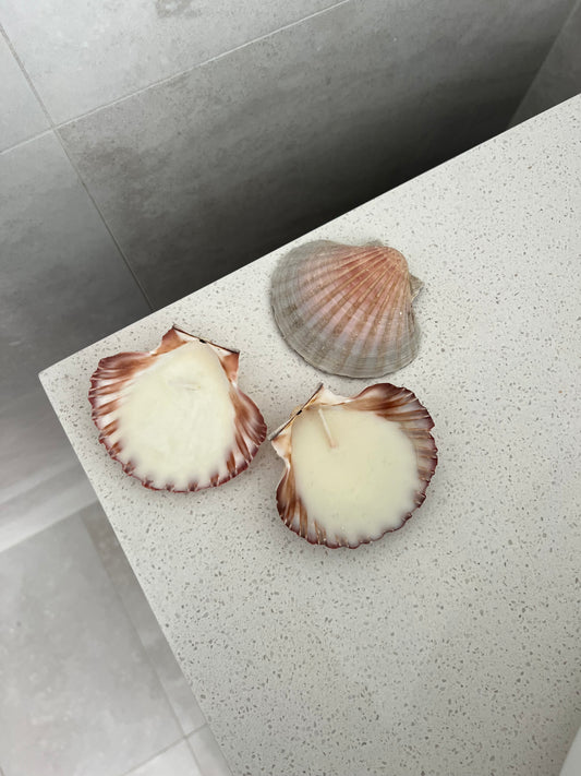 Sea Shell Candle